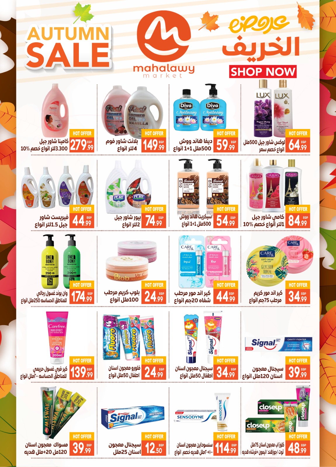 el-mahallawy-sons offers from 23oct to 2oct 2025 عروض اولاد المحلاوى من 23 أكتوبر حتى 2 أكتوبر 2025 صفحة رقم 24